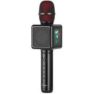 microphone karaoké
