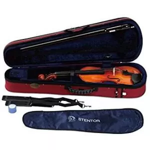violon