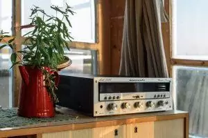 Comment la musique peut soigner les plantes